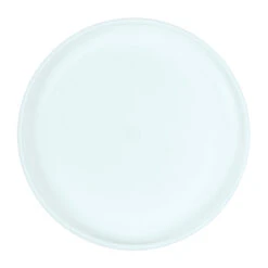 Plastic Ultimate Disc - Surf Illustration -Outdoor Camping k592bc01128c95d9c8e81ed32ba282013