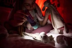 Ledlenser KidBEAM4 LED Hand Torch (Purple) -Outdoor Camping k59e29570618b7729d370bdca435a3048