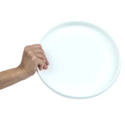 Plastic Ultimate Disc - Surf Illustration -Outdoor Camping k6abadd68bd21e02f4eeb8232e0eaab0c