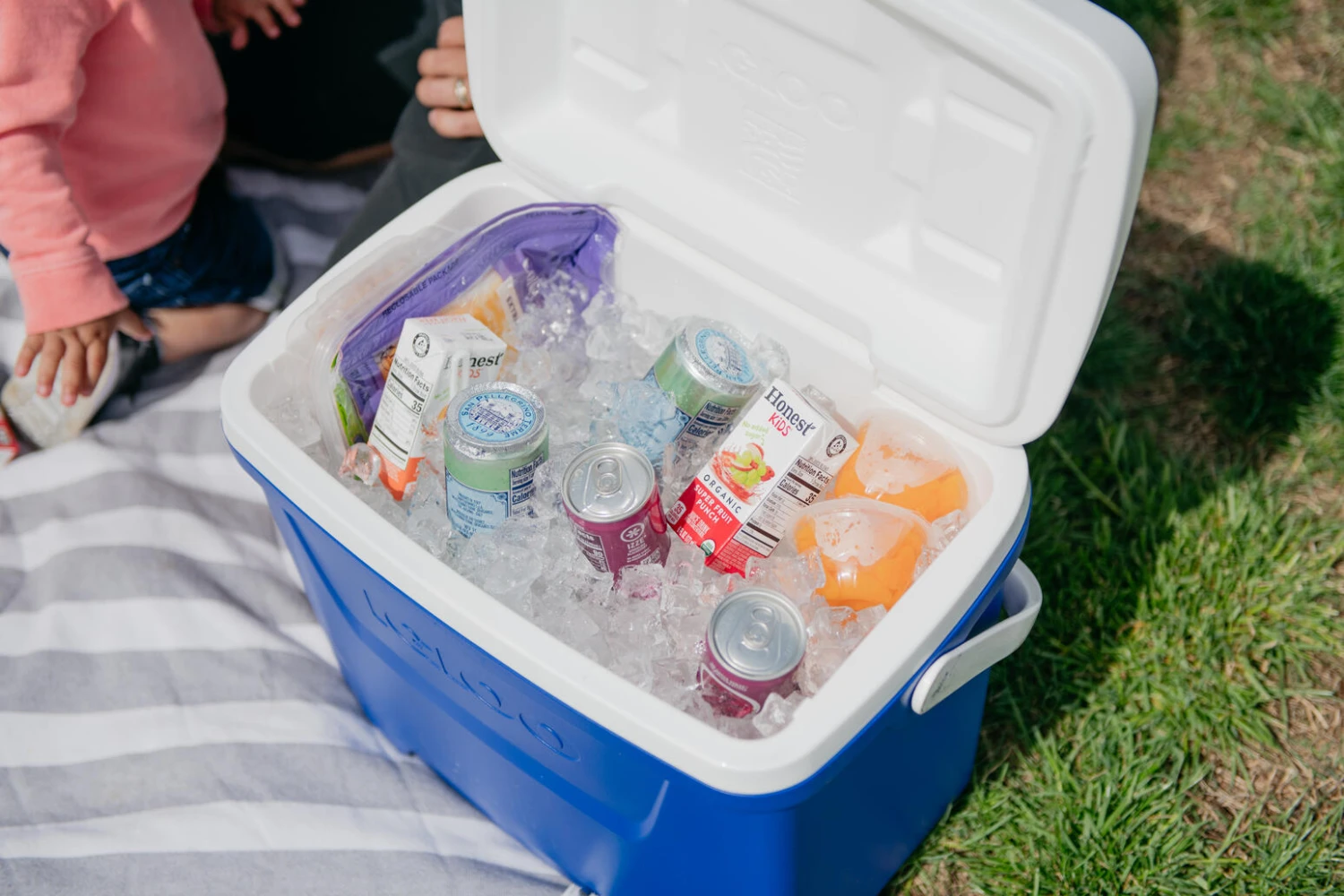 IGLOO Laguna 28QT Cool Box Red 11 IGLOO Laguna 28QT Cool Box Red - Image 9